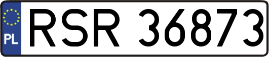 RSR36873