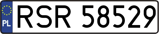 RSR58529