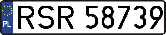 RSR58739