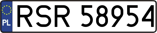 RSR58954