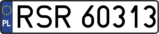 RSR60313