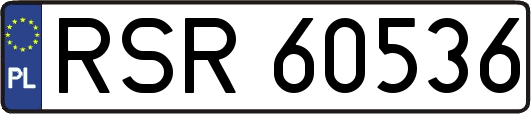 RSR60536
