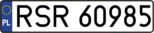 RSR60985
