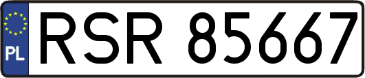 RSR85667