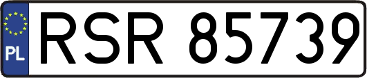 RSR85739
