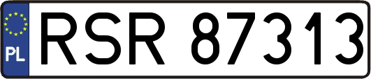 RSR87313