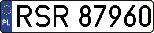 RSR87960