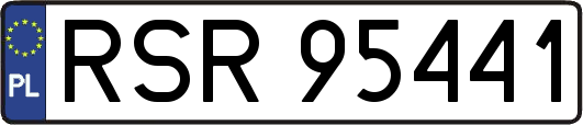RSR95441