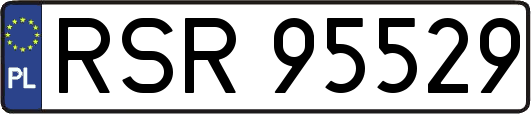 RSR95529