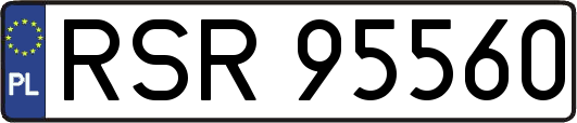 RSR95560