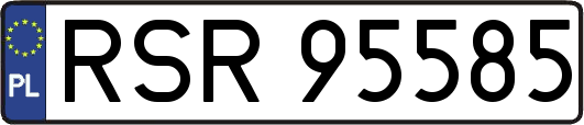 RSR95585