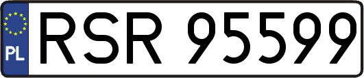 RSR95599