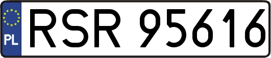 RSR95616