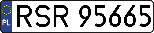 RSR95665