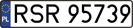 RSR95739