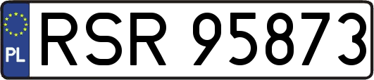 RSR95873