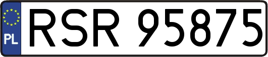 RSR95875