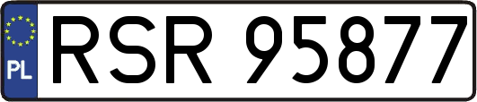 RSR95877