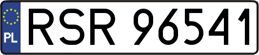 RSR96541