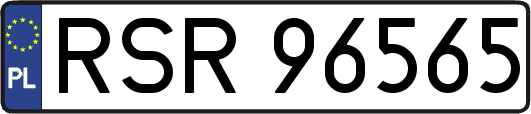 RSR96565
