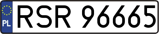 RSR96665