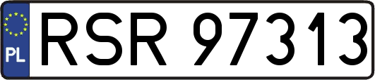 RSR97313