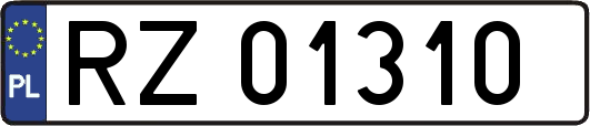 RZ01310