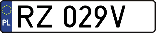 RZ029V