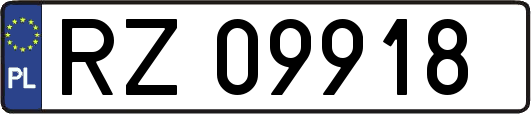 RZ09918