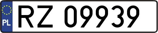 RZ09939