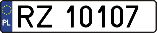 RZ10107