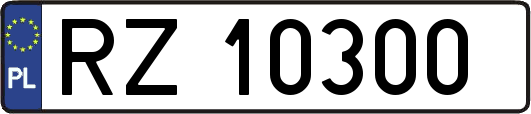 RZ10300
