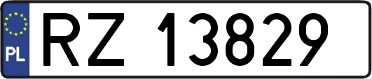 RZ13829