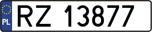 RZ13877