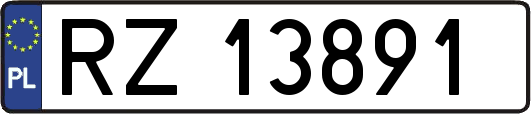 RZ13891