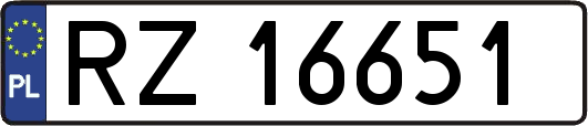 RZ16651