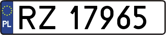 RZ17965