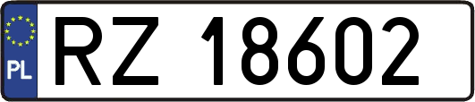 RZ18602