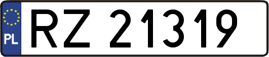 RZ21319