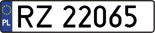 RZ22065