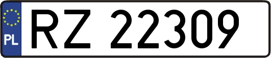 RZ22309