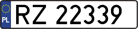 RZ22339
