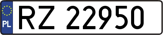 RZ22950