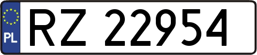 RZ22954