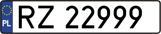 RZ22999