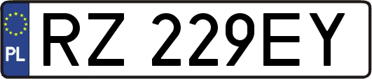 RZ229EY