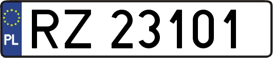 RZ23101