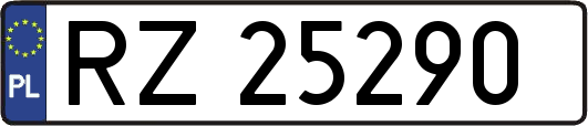 RZ25290