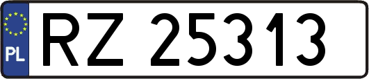 RZ25313