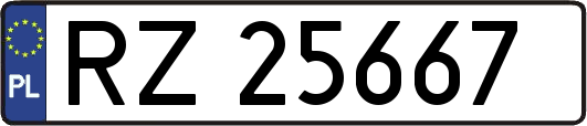 RZ25667